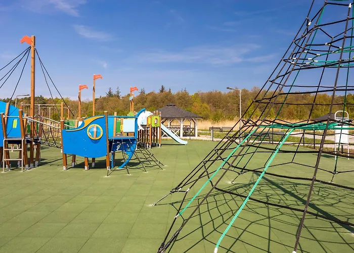 Yellow Sunset Surfingbird